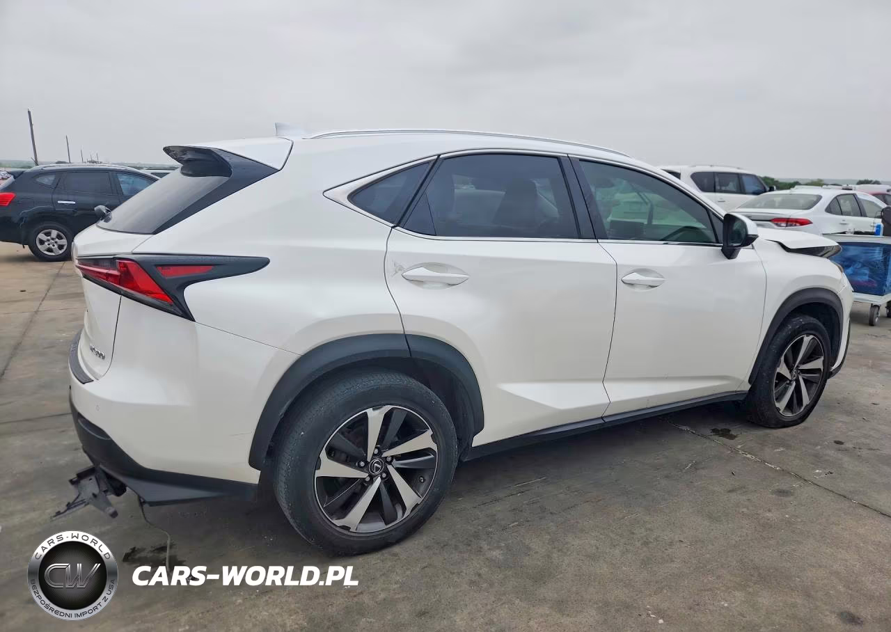 2018 Lexus Nx 300 Base VIN:JTJYARBZXJ2103476 - 3