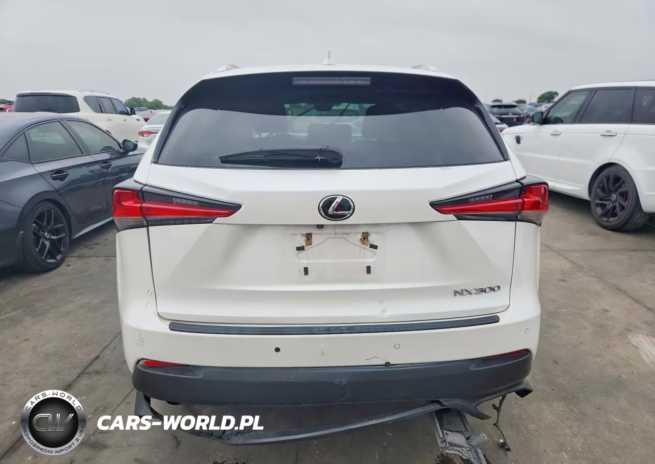 2018 Lexus Nx 300 Base VIN:JTJYARBZXJ2103476 - 6