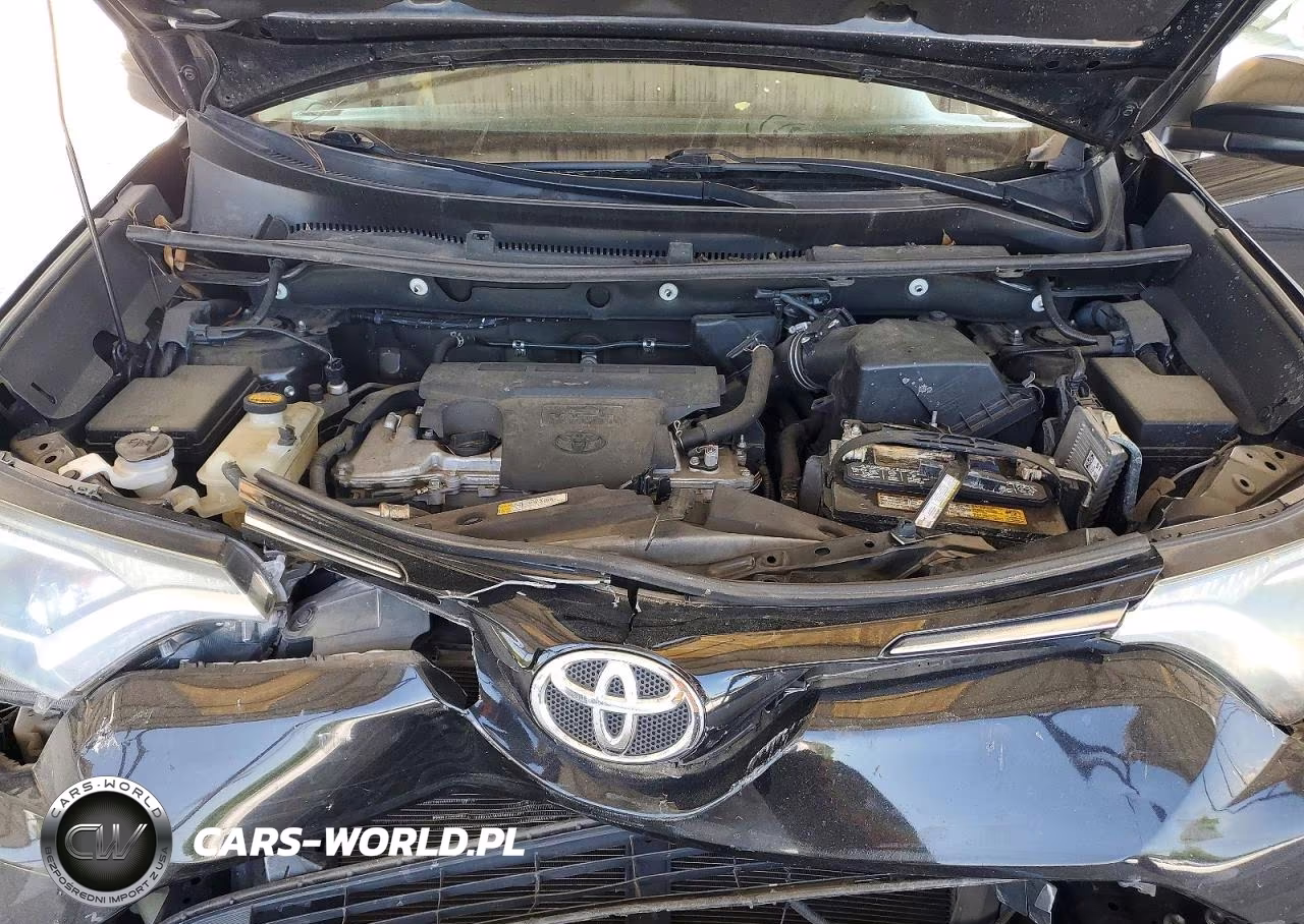 2016 Toyota Rav4 Le VIN:2T3ZFREV8GW250462 - 11