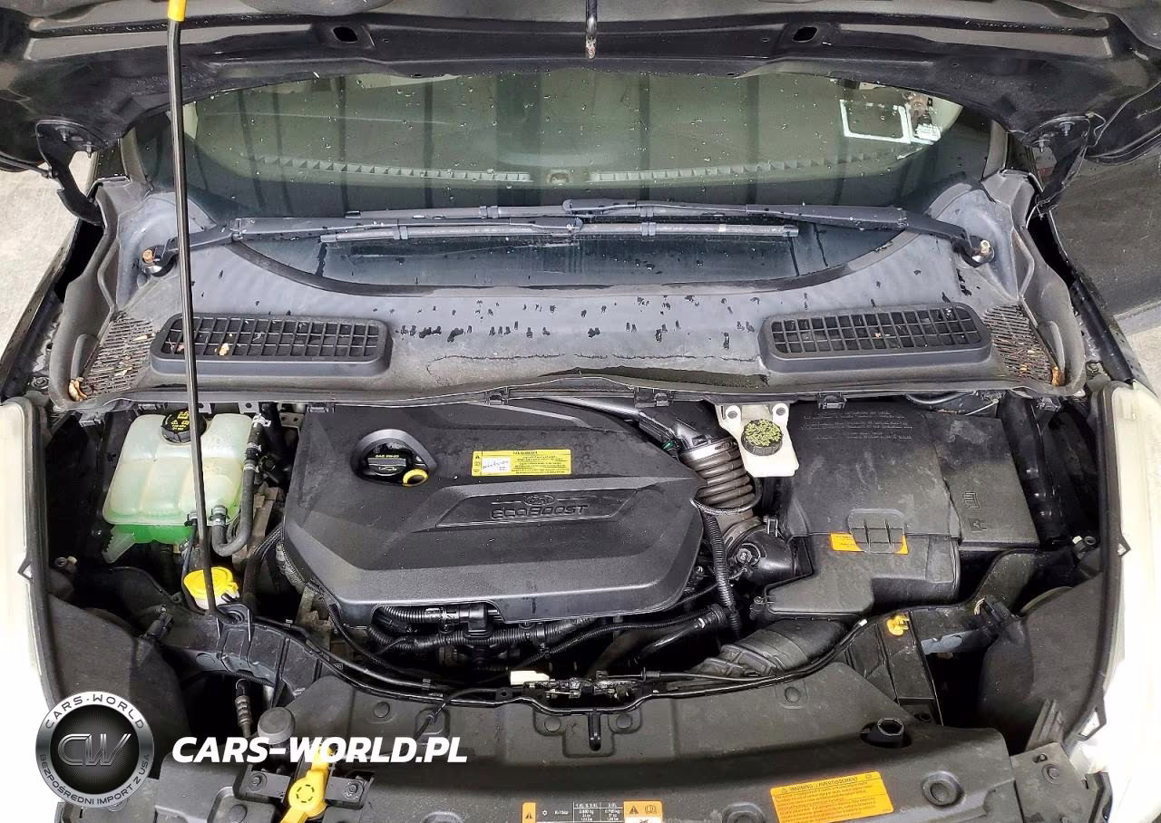 2014 Ford Escape Se VIN:1FMCU9GX4EUC89274 - 11