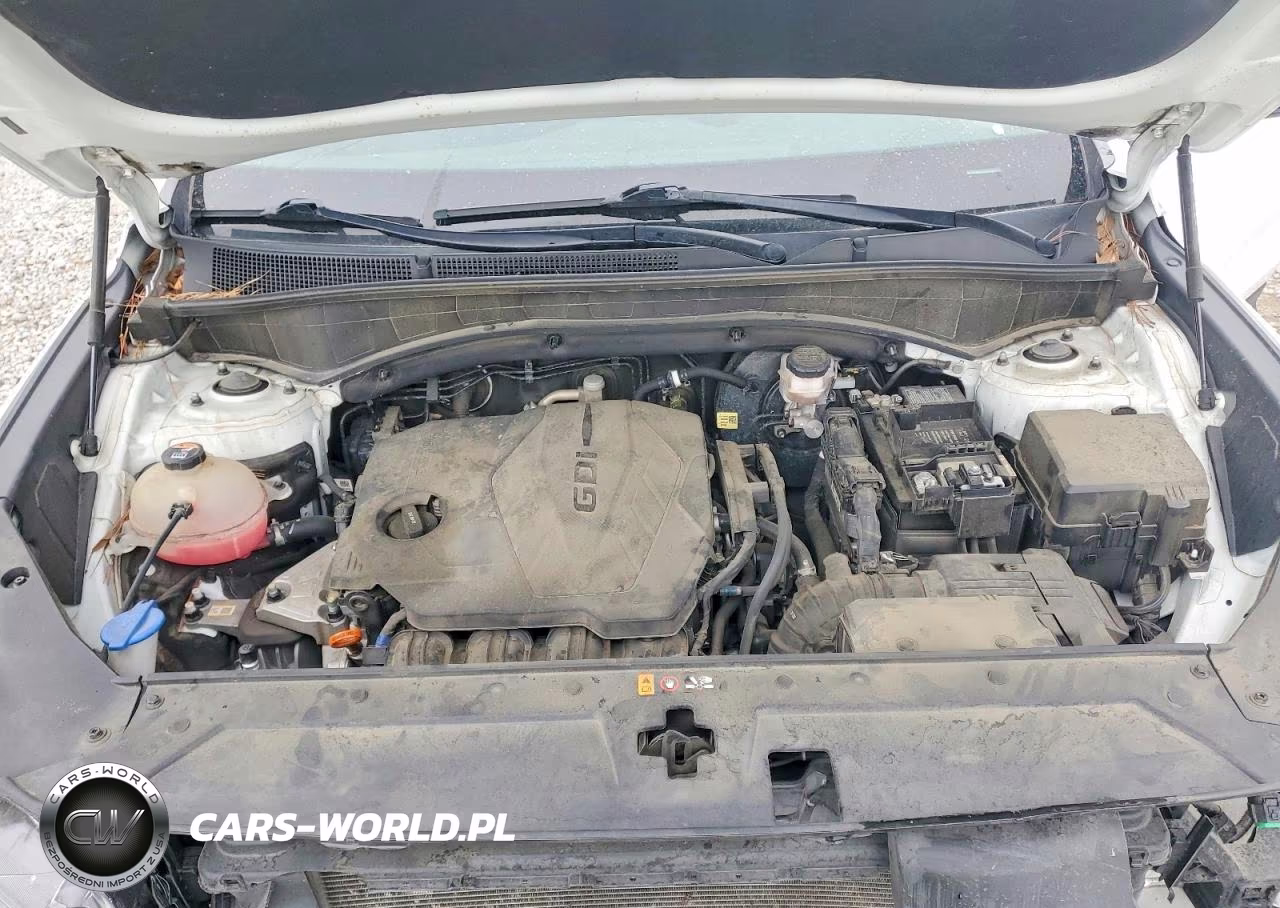 2022 Hyundai Santa Fe Xrt VIN:5NMS64AJ4NH481030 - 12
