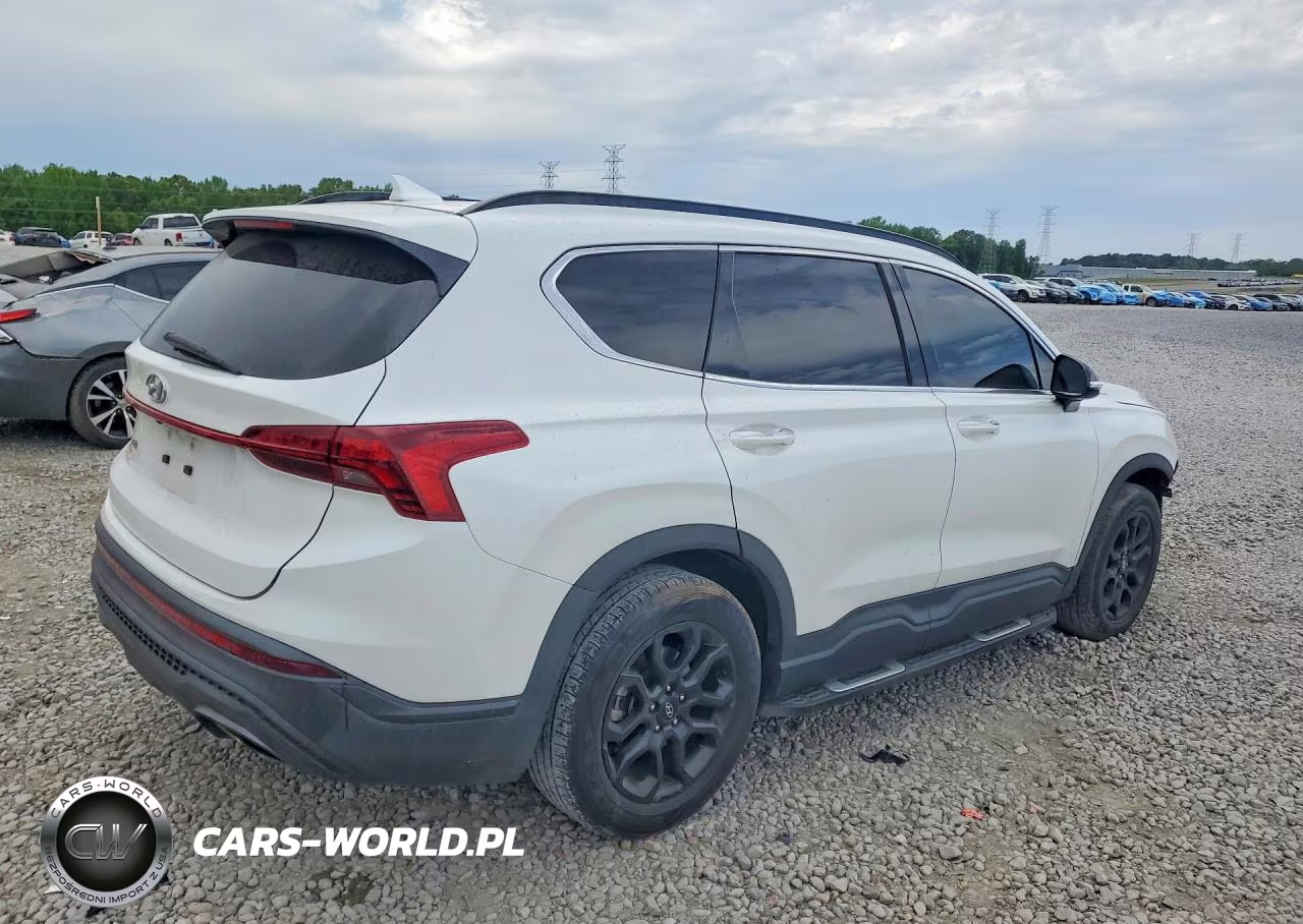 2022 Hyundai Santa Fe Xrt VIN:5NMS64AJ4NH481030 - 3