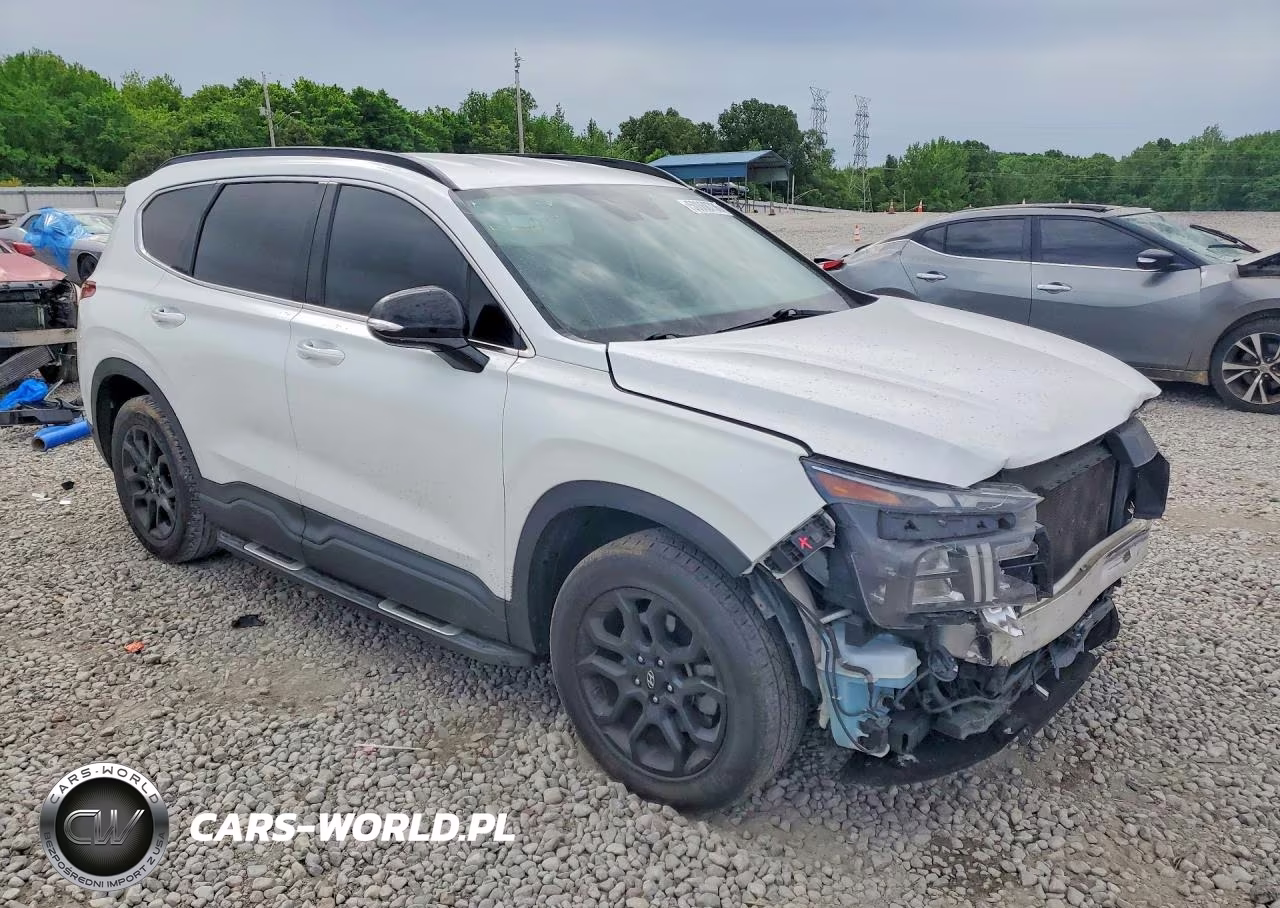 2022 Hyundai Santa Fe Xrt VIN:5NMS64AJ4NH481030 - 4