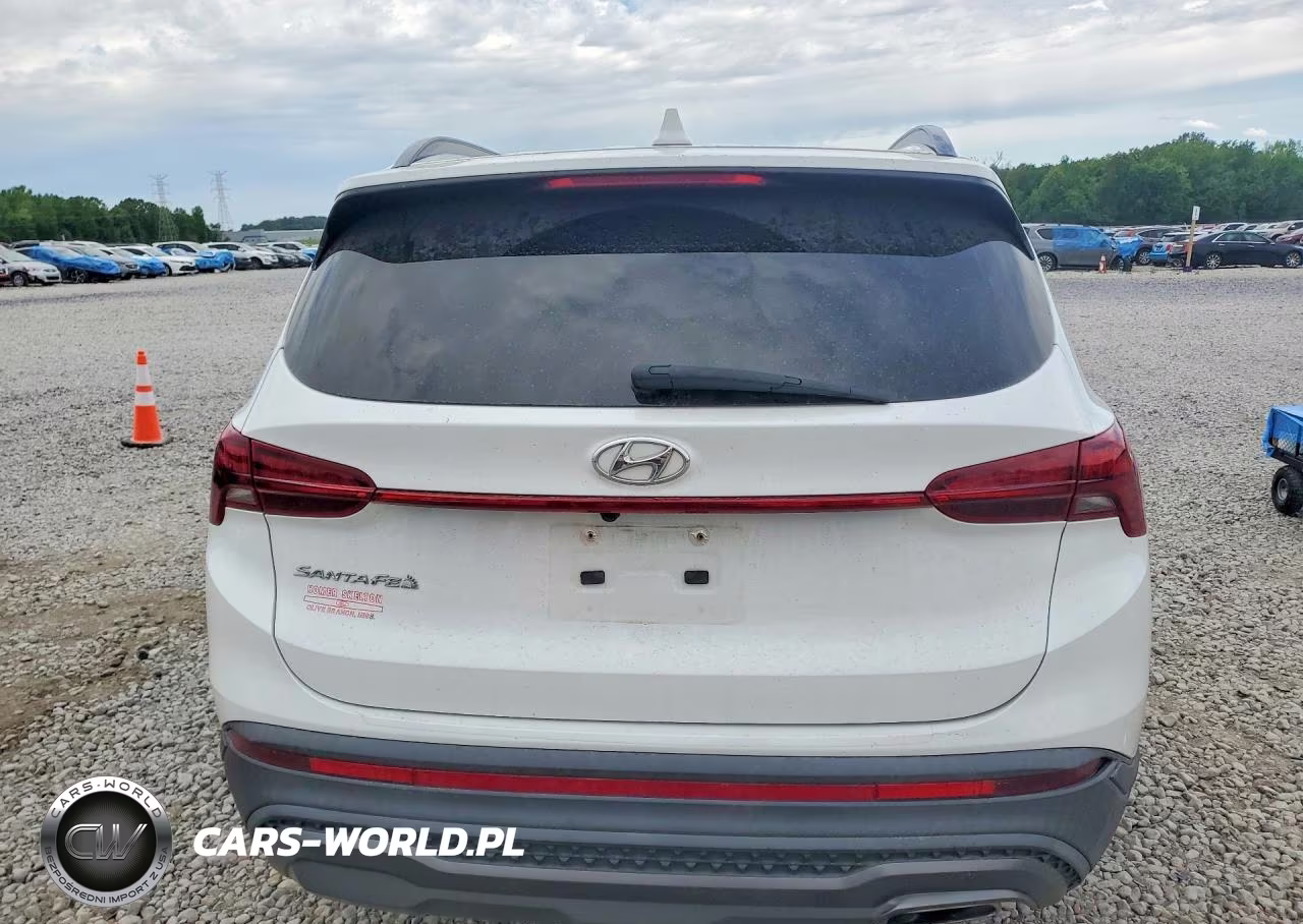 2022 Hyundai Santa Fe Xrt VIN:5NMS64AJ4NH481030 - 6