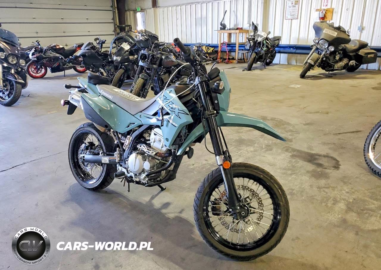 2024 Kawasaki Klx300 S