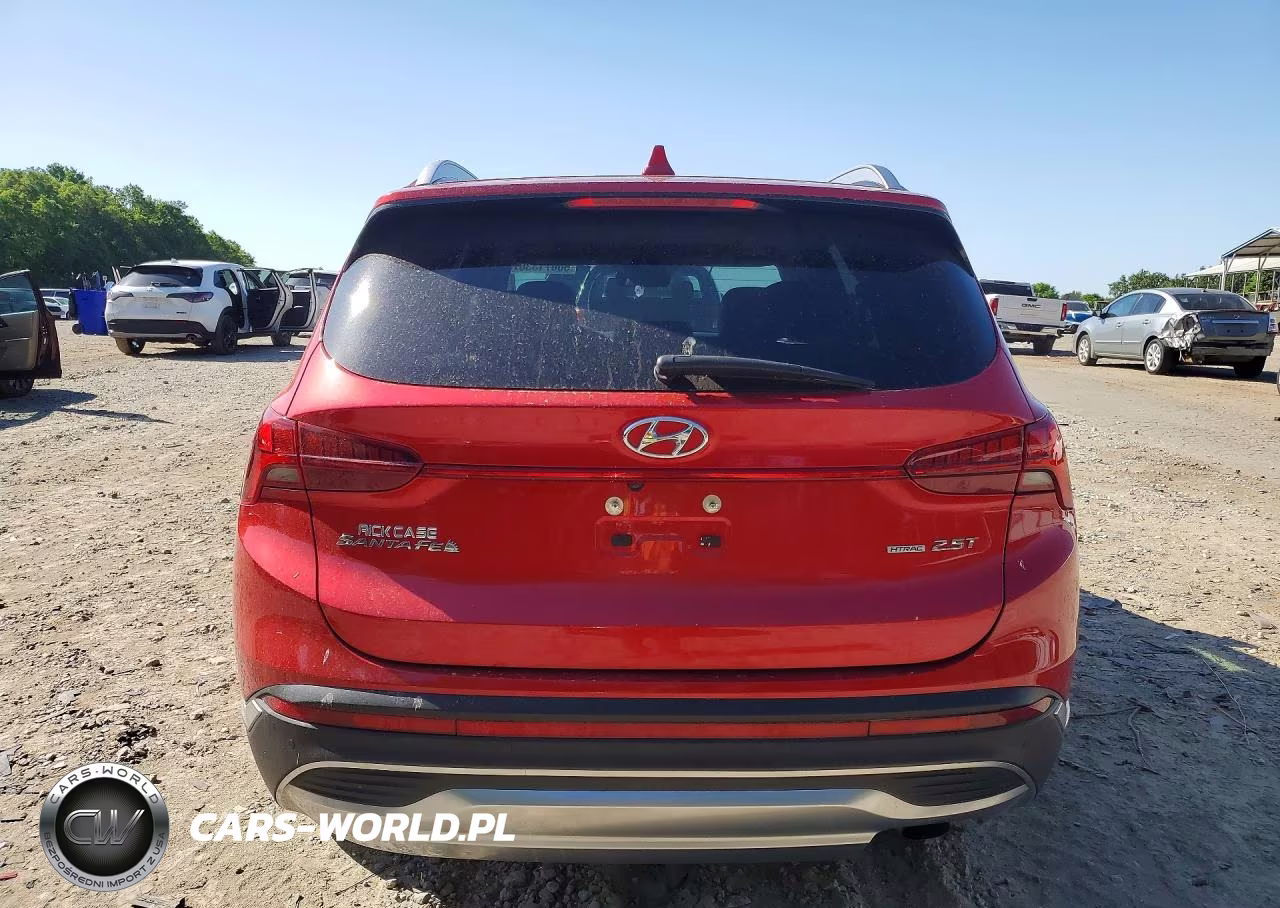 2023 Hyundai Santa Fe Limited VIN:5NMS4DAL0PH533554 - 6