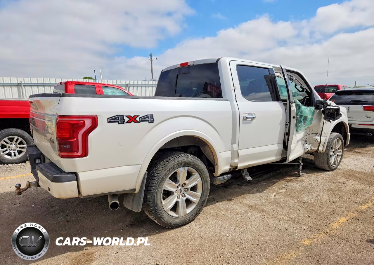 2015 Ford F150 Supercrew VIN:1FTEW1EG7FFA33891 - 3