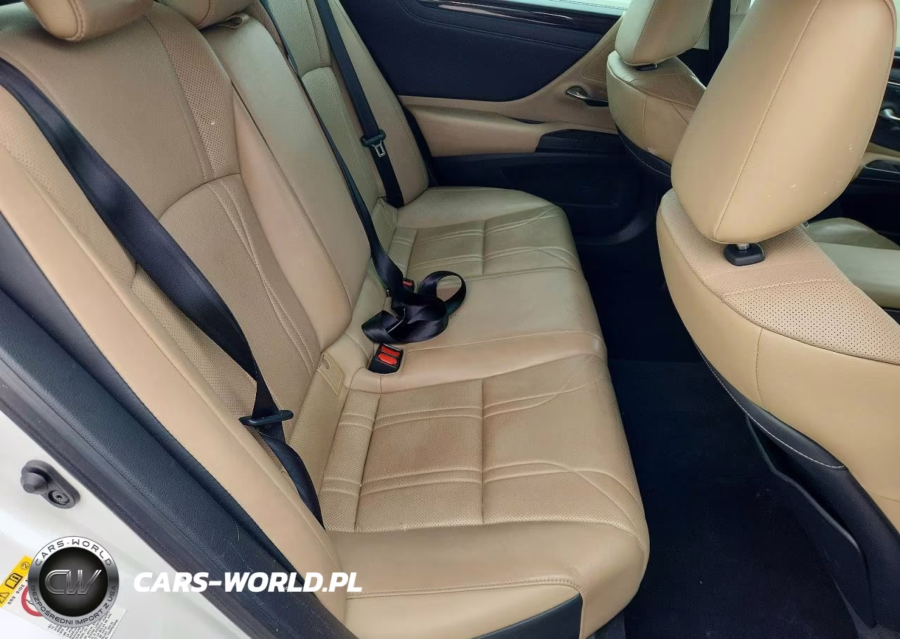 2019 Lexus Es 350 Luxury VIN:58ABZ1B17KU024340 - 10