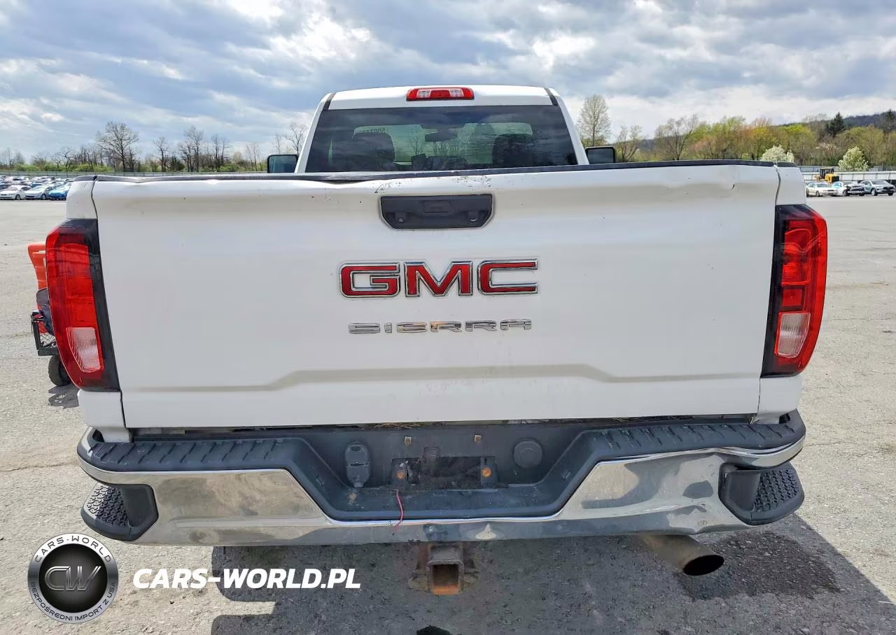 2020 GMC Sierra K2500 Heavy Duty VIN:1GT39LE7XLF227501 - 6