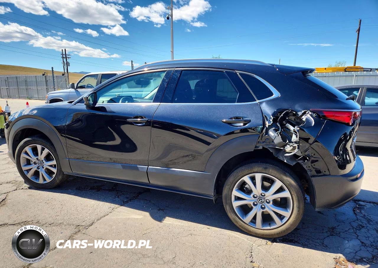 2023 Mazda Cx-30 Premium VIN:3MVDMBDMXPM527581 - 2