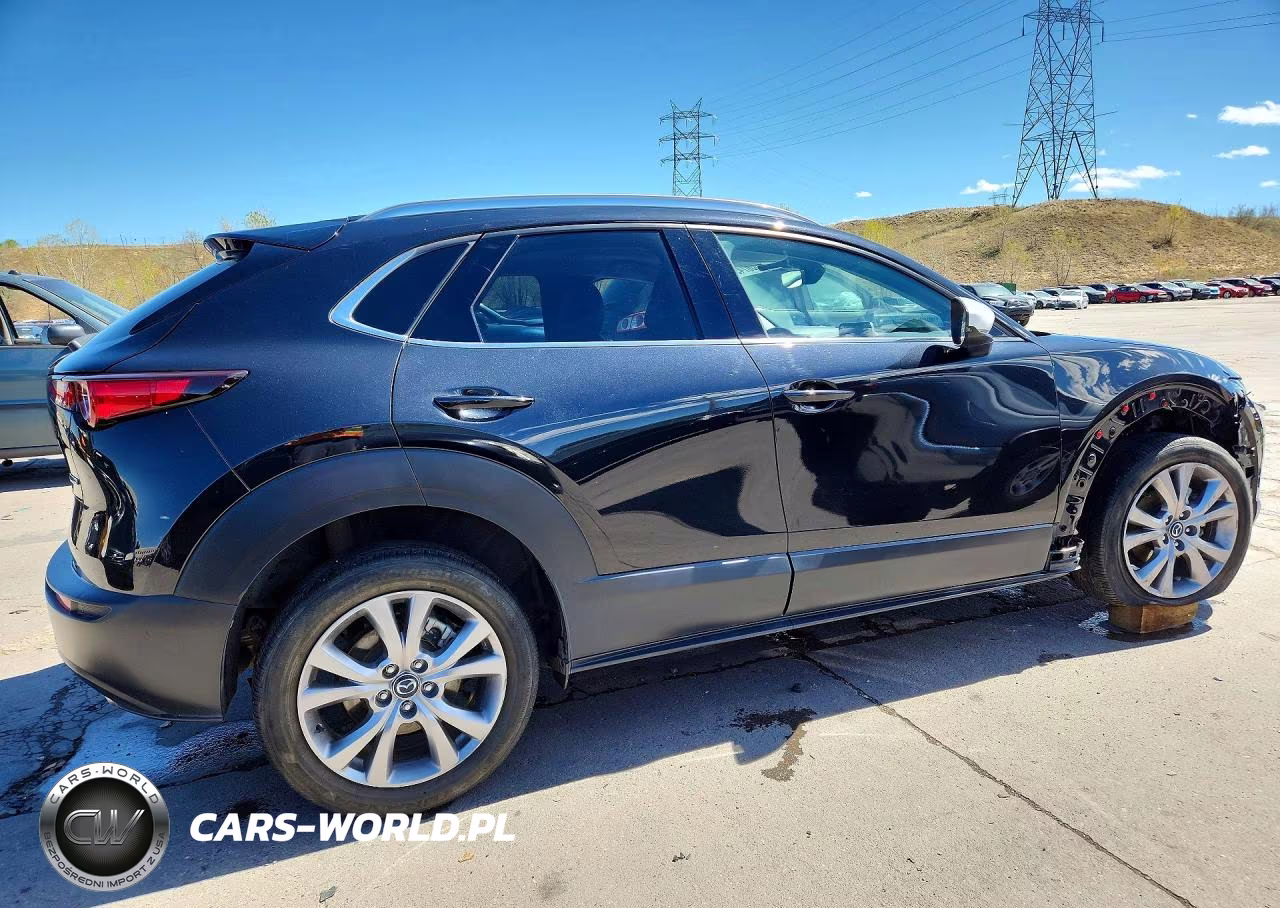 2023 Mazda Cx-30 Premium VIN:3MVDMBDMXPM527581 - 3