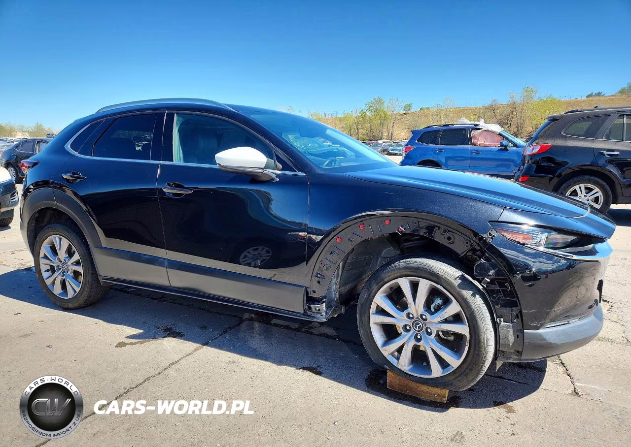 2023 Mazda Cx-30 Premium VIN:3MVDMBDMXPM527581 - 4