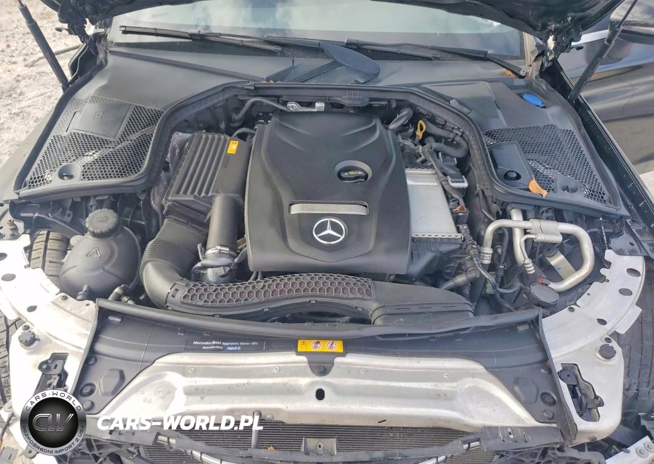 2018 Mercedes-Benz C 300 VIN:WDDWK4JBXJF660420 - 11