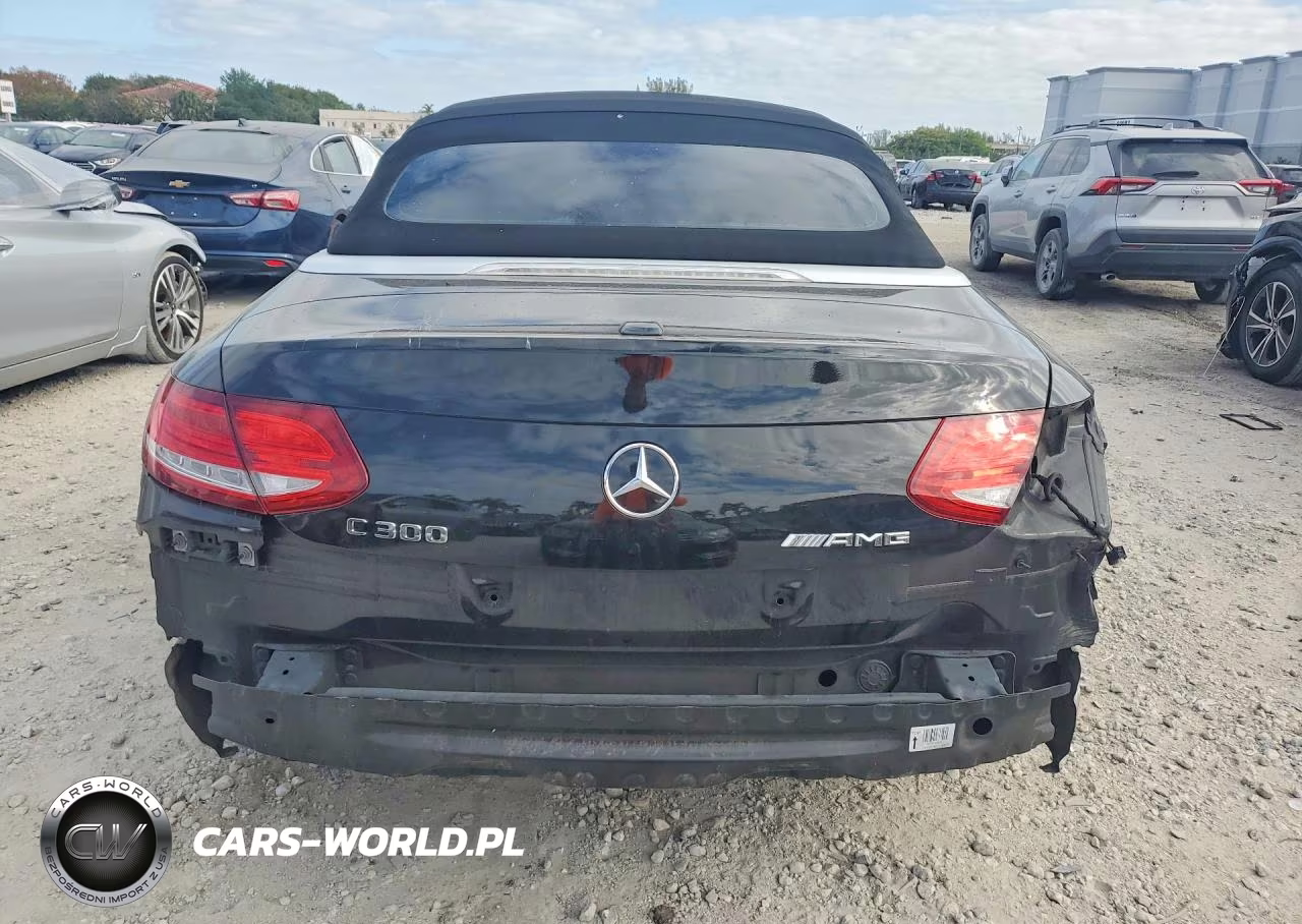 2018 Mercedes-Benz C 300 VIN:WDDWK4JBXJF660420 - 6