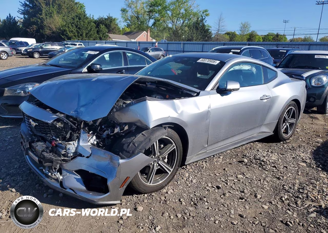 2024 Ford Mustang VIN:1FA6P8TH9R5137210 - 1
