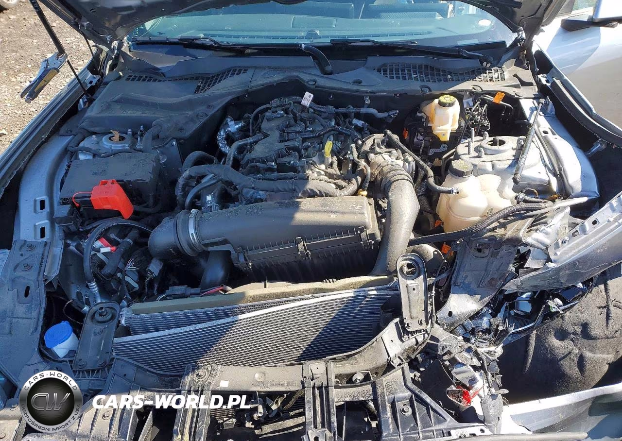 2024 Ford Mustang VIN:1FA6P8TH9R5137210 - 11