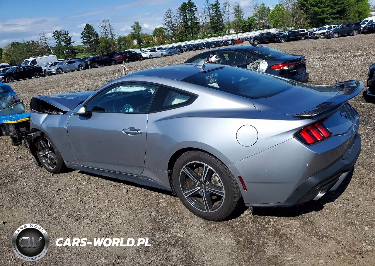 2024 Ford Mustang VIN:1FA6P8TH9R5137210 - 2