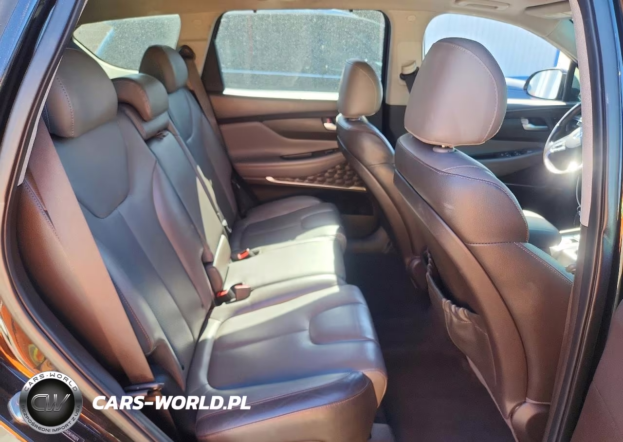 2020 Hyundai Santa Fe Limited VIN:5NMS53AD4LH150274 - 10