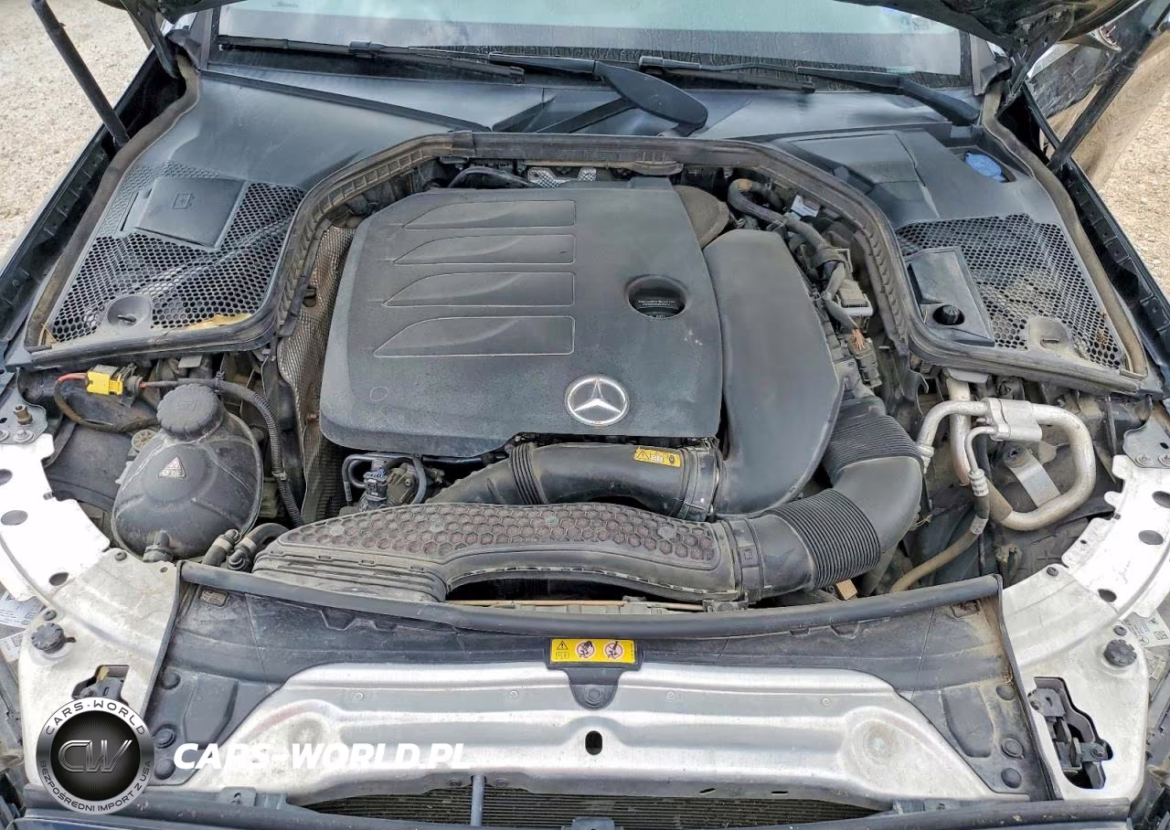 2019 Mercedes-Benz C 300 VIN:55SWF8DB0KU322434 - 11