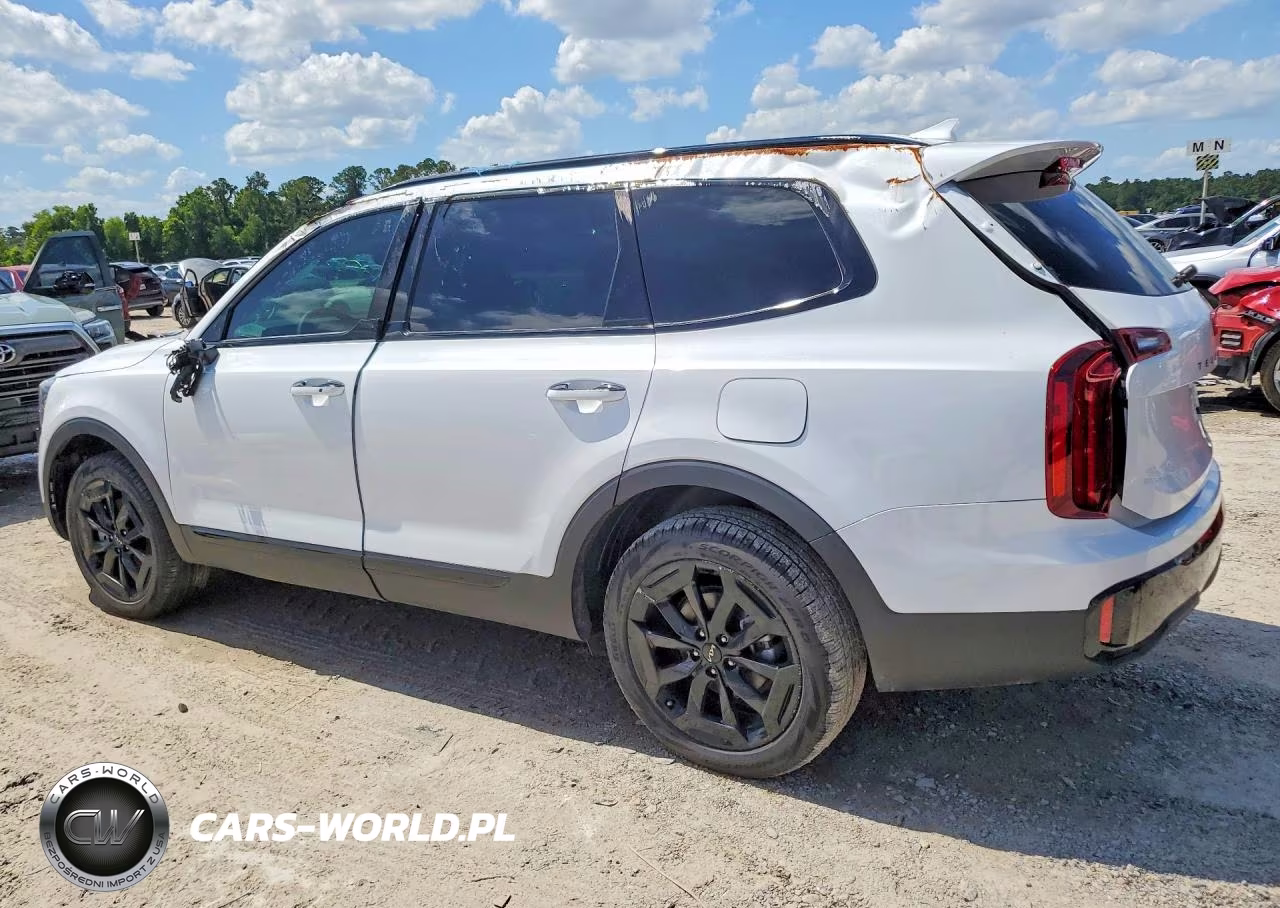 2025 Kia Telluride S VIN:5XYP6DGC4SG723688 - 2