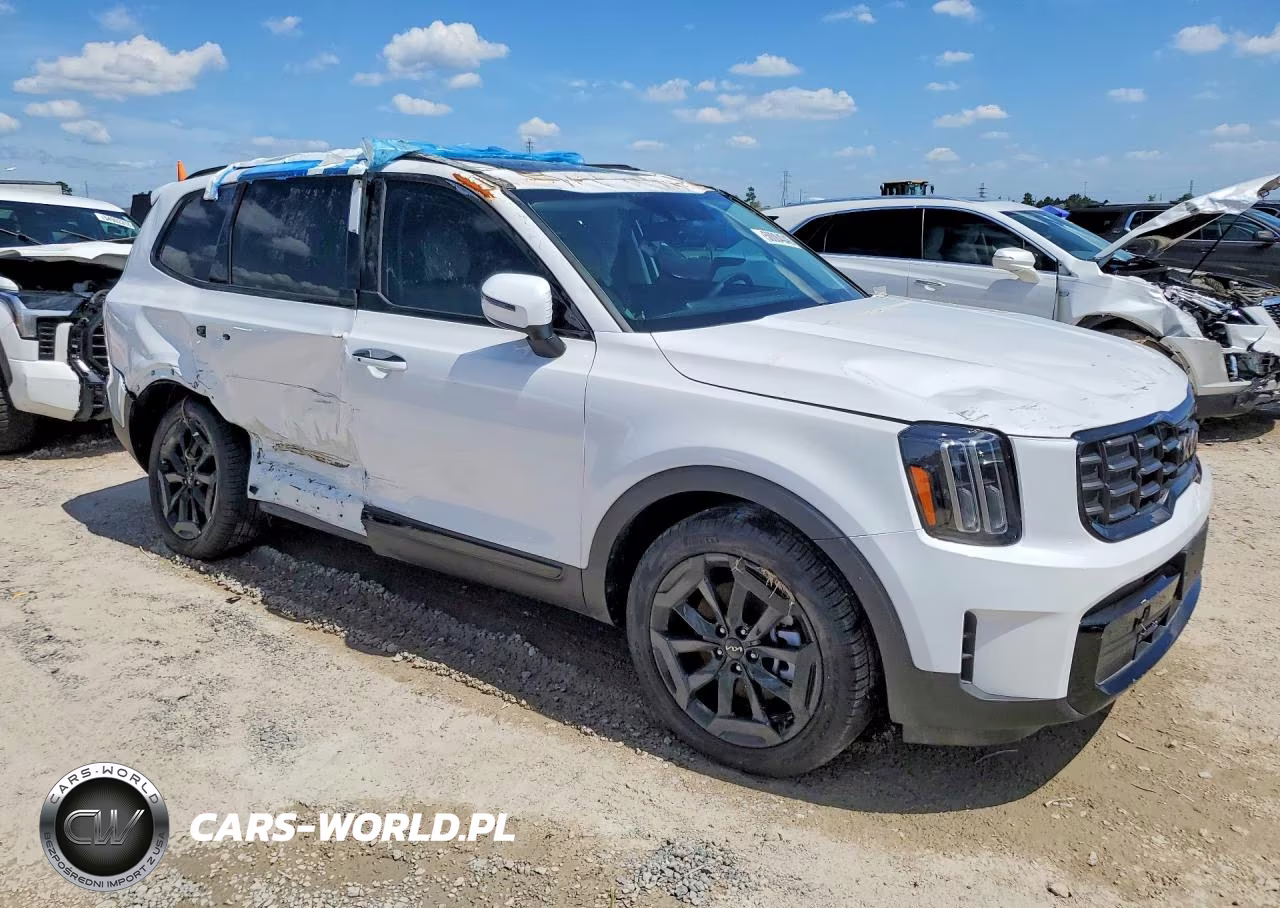 2025 Kia Telluride S VIN:5XYP6DGC4SG723688 - 4