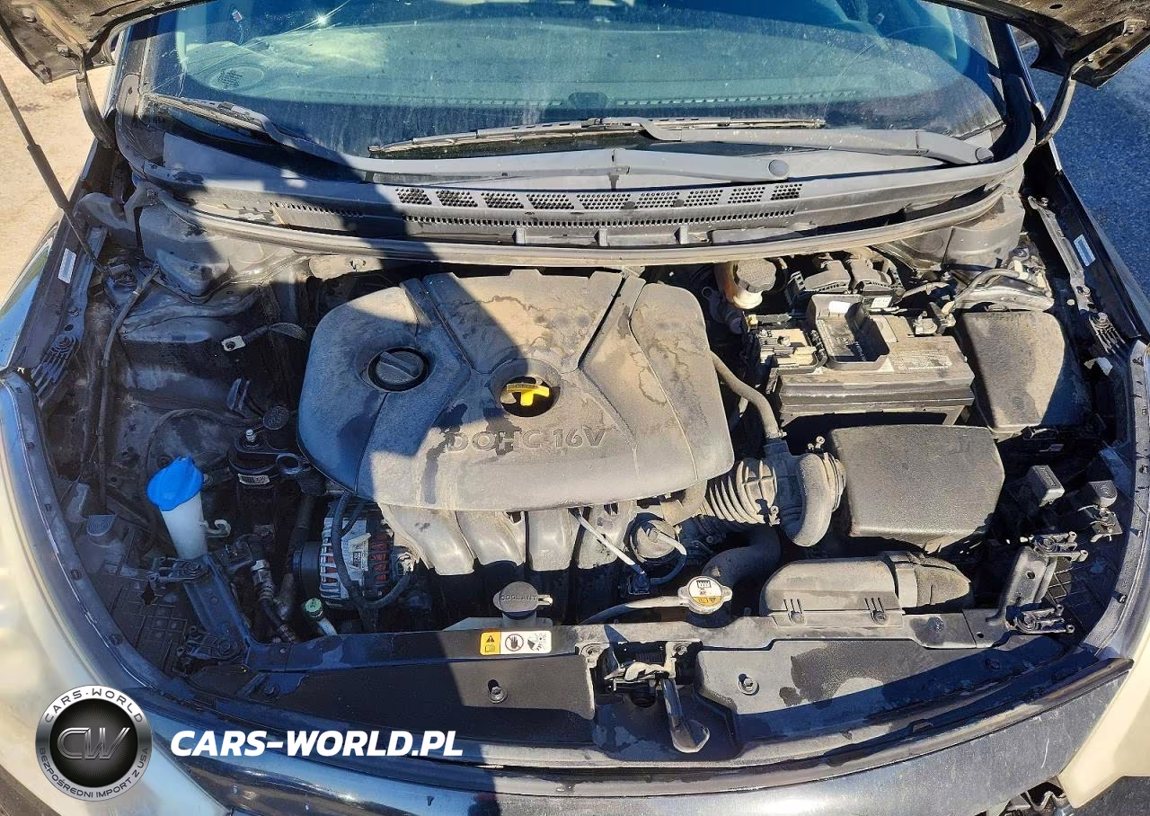 2015 Kia Forte Lx VIN:KNAFK4A61F5318961 - 11