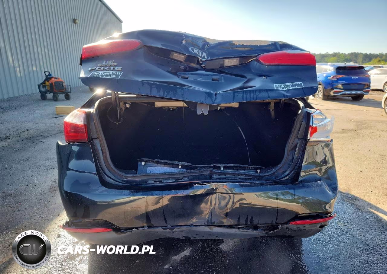 2015 Kia Forte Lx VIN:KNAFK4A61F5318961 - 6