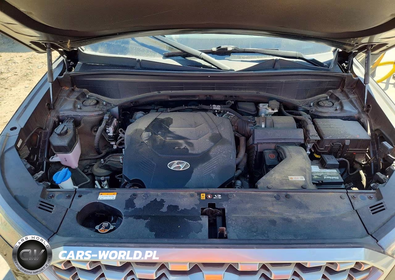 2021 Hyundai Palisade Sel VIN:KM8R44HE4MU244196 - 12