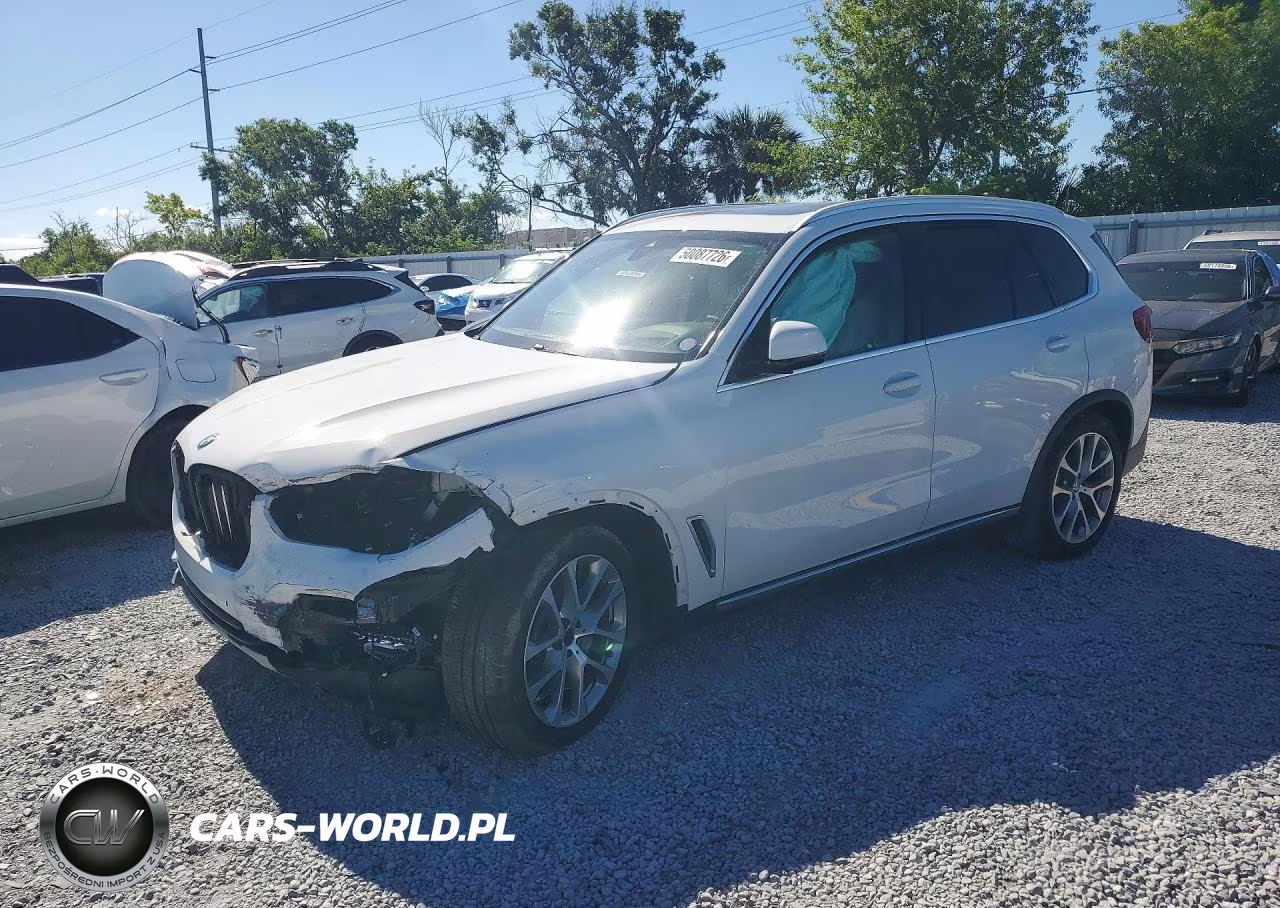 2019 BMW X5 xDrive40I – zdjęcie 1 z 13