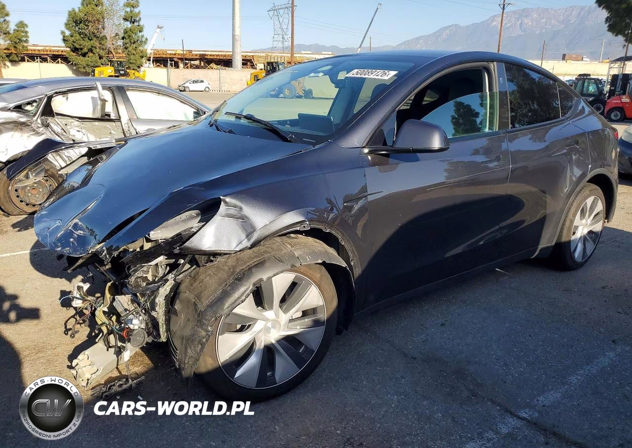 2024 Tesla Model Y
