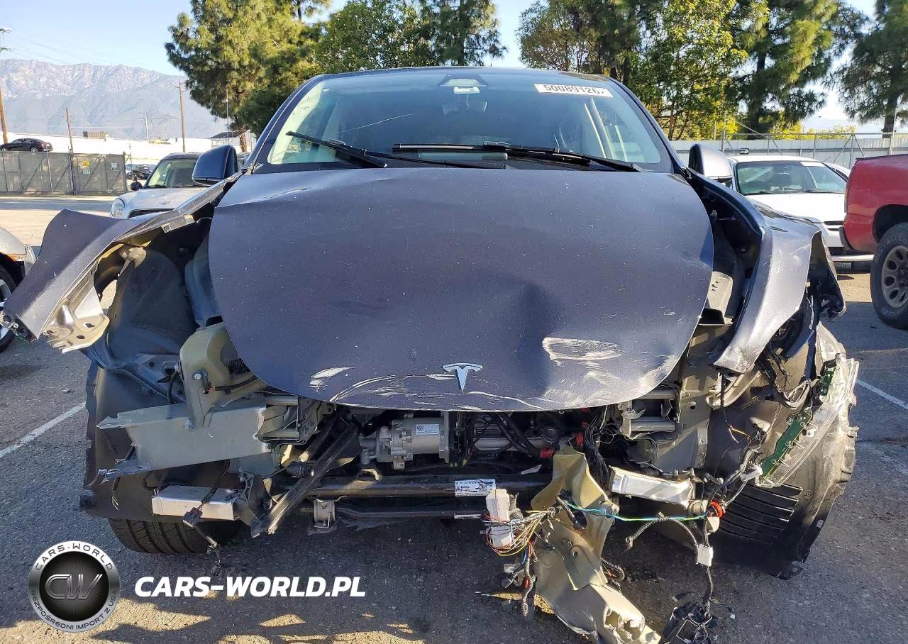 2024 Tesla Model Y VIN:7SAYGAEE5RF064092 - 5