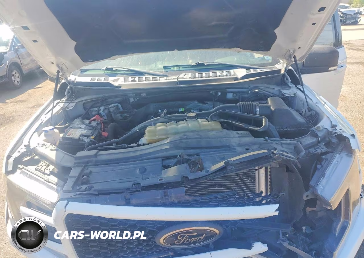 2020 Ford F150 Supercrew VIN:1FTEW1EP1LFB78291 - 11
