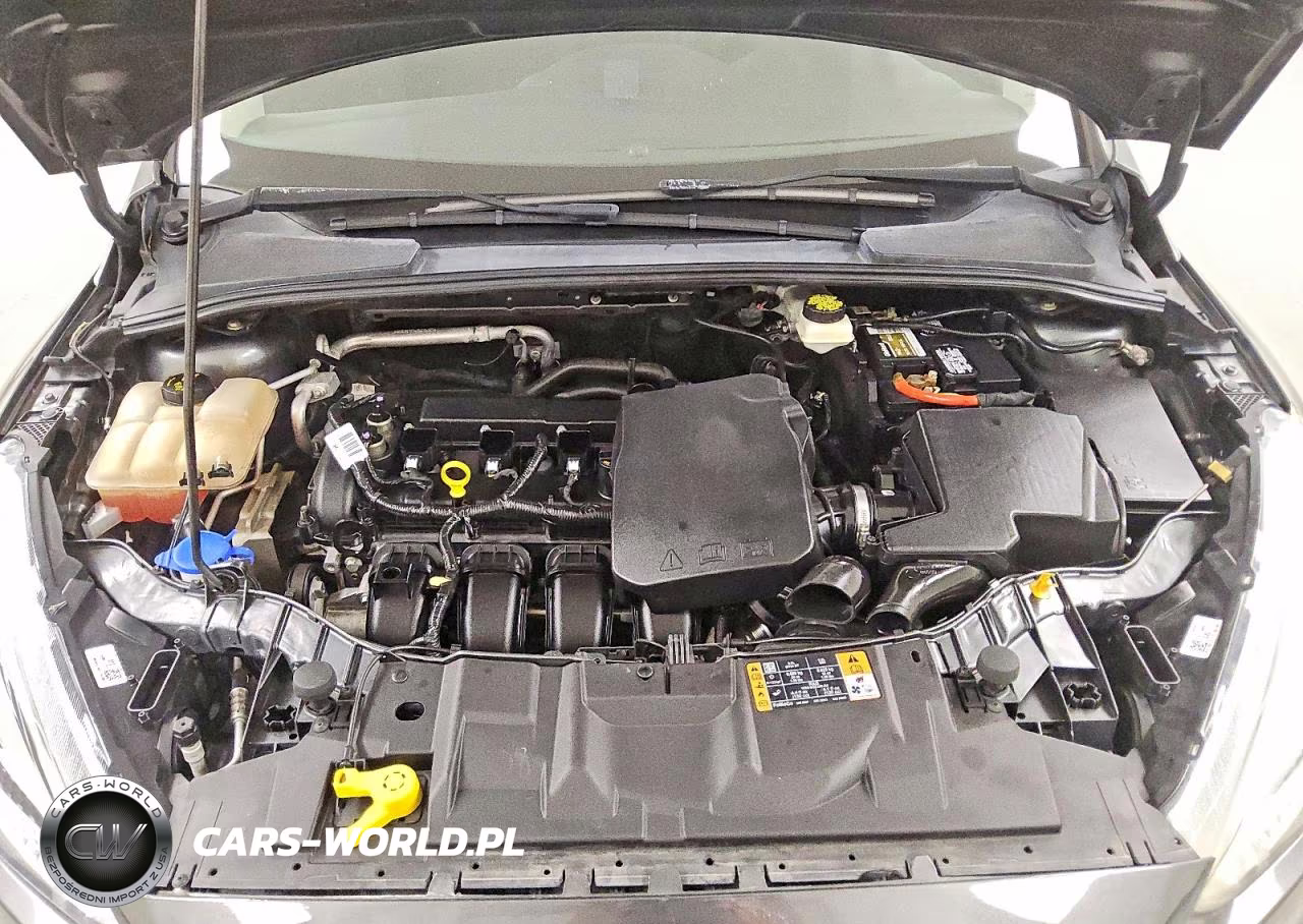 FORD FOCUS VIN:1FADP3E21HL223317 - 11