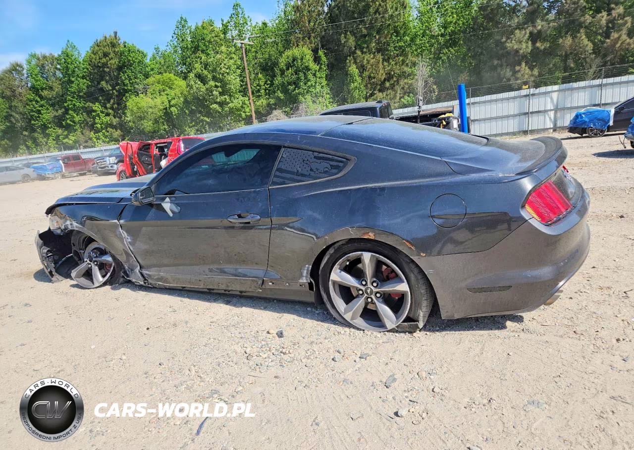 2015 Ford Mustang VIN:1FA6P8AMXF5309675 - 2