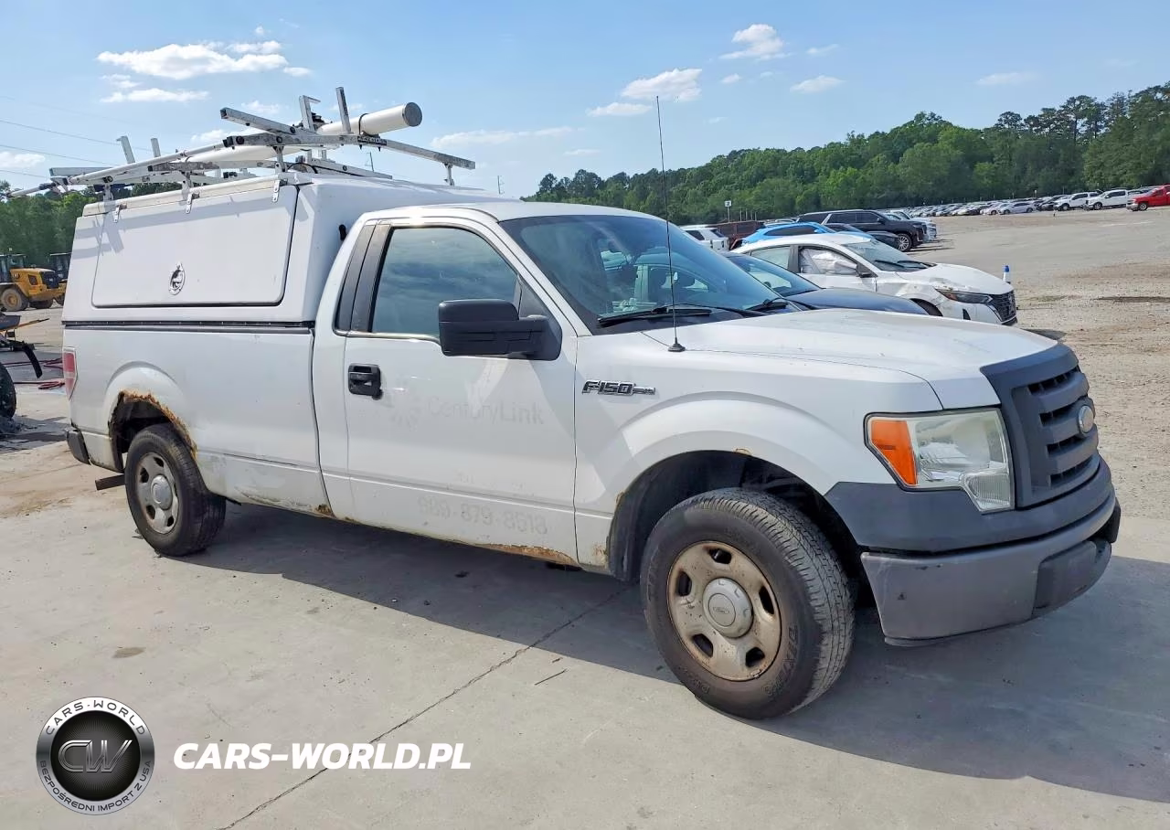 2009 Ford F150 VIN:1FTRF12W89KC55039 - 4