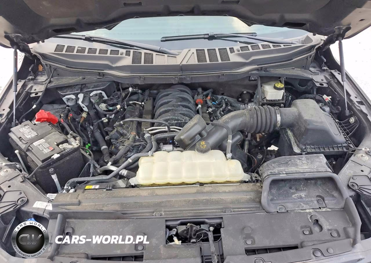 2024 Ford F150 Xlt VIN:1FTFW3L52RKD91624 - 11
