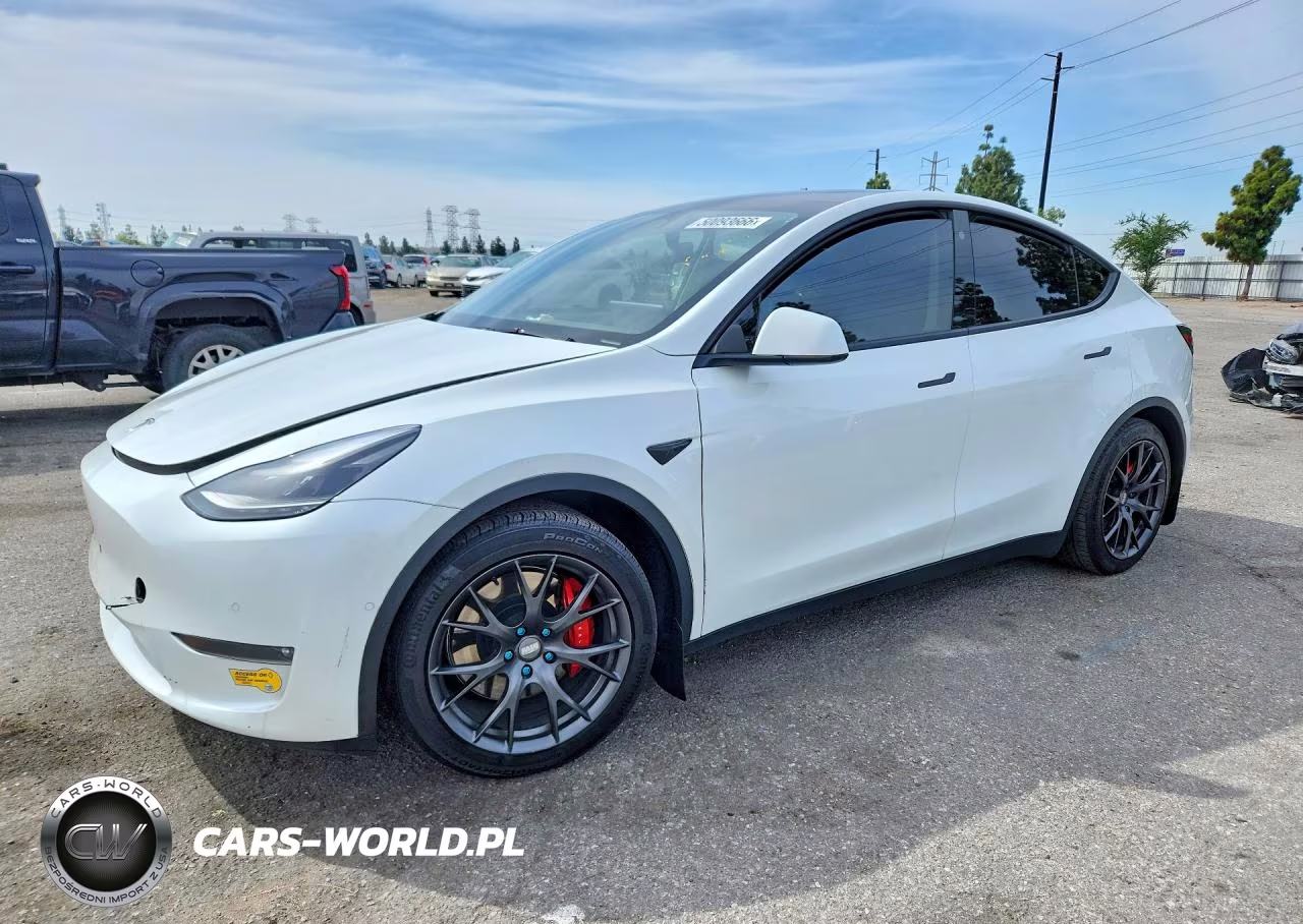 2021 Tesla Model Y