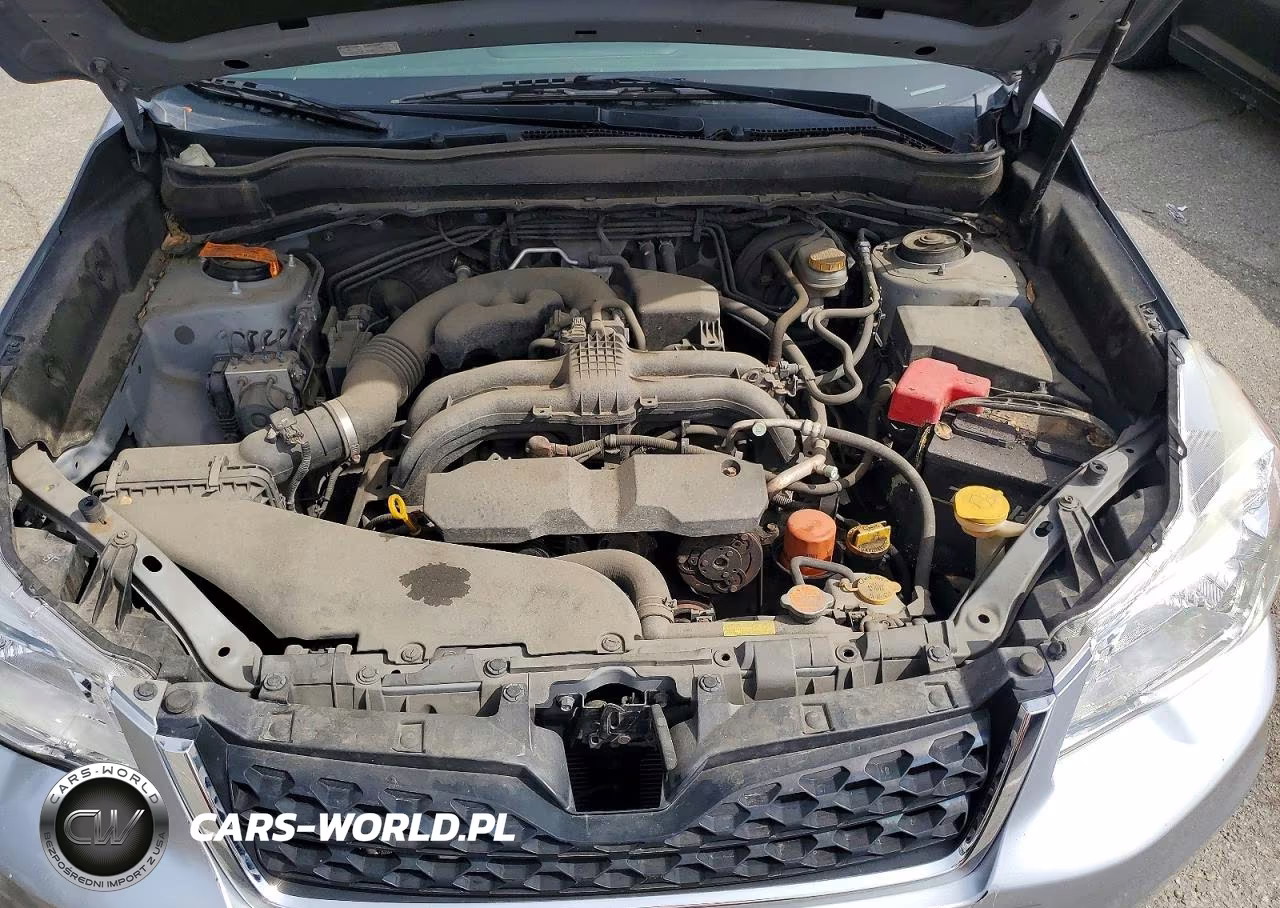 2015 Subaru Forester 2.5I Premium VIN:JF2SJADC3FH833545 - 11