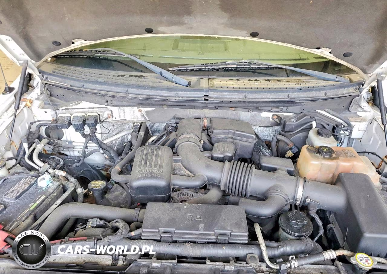 2010 Ford F150 Supercrew VIN:1FTFW1EV2AFD35410 - 11