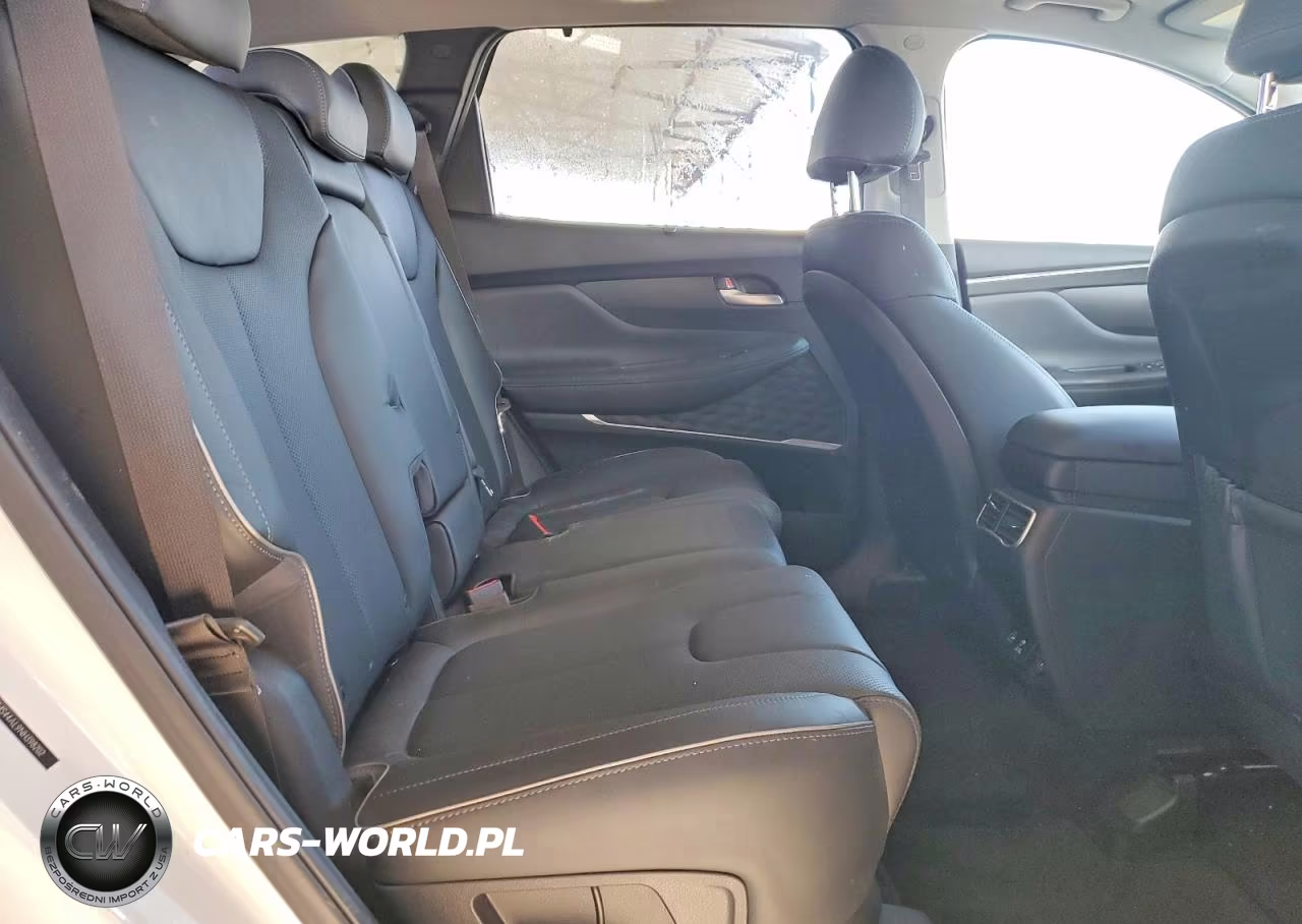 2022 Hyundai Santa Fe Limited VIN:5NMS44AL9NH398202 - 10