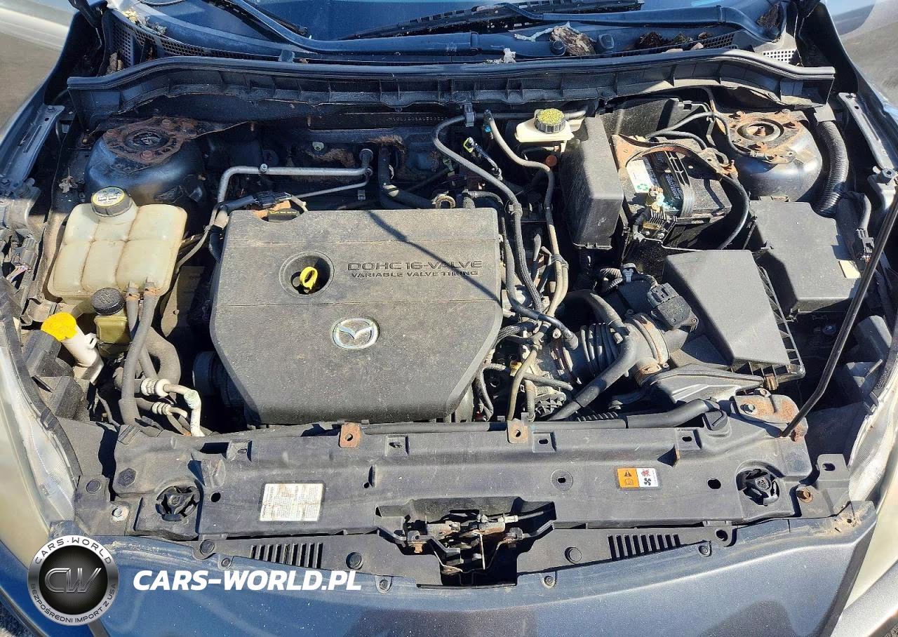 2010 Mazda 3 I VIN:JM1BL1SG1A1329513 - 11