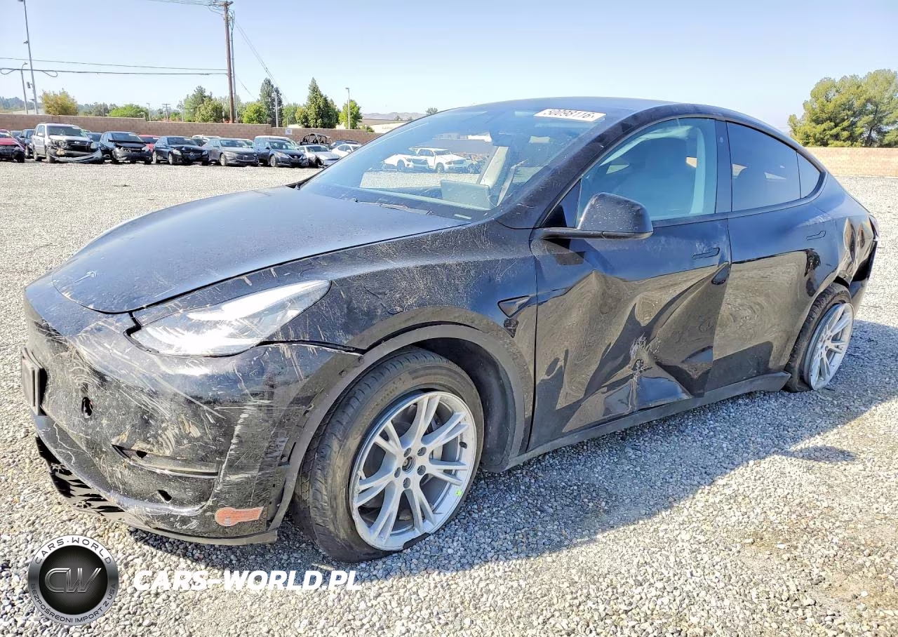 2020 Tesla Model Y