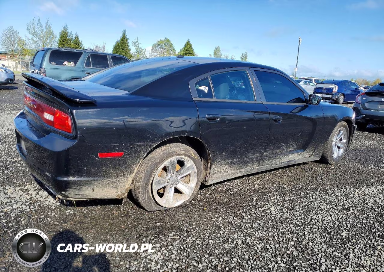 2013 Dodge Charger Sxt VIN:2C3CDXHG0DH702031 - 3