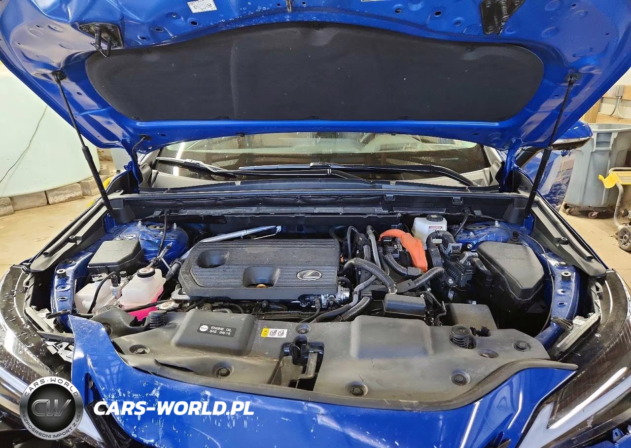 2025 Lexus Nx 350H Premium VIN:2T2GKCEZ7SC036015 - 12