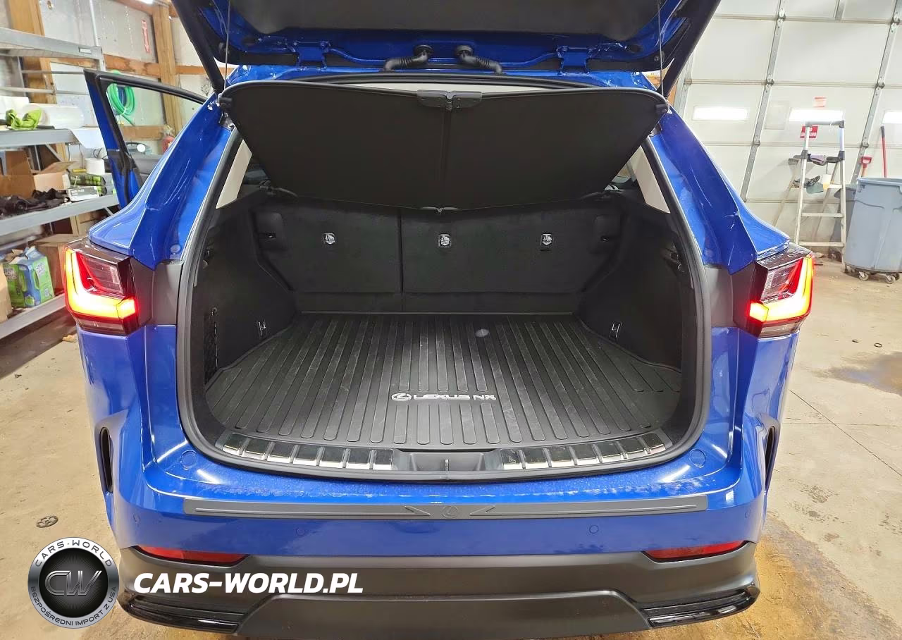 2025 Lexus Nx 350H Premium VIN:2T2GKCEZ7SC036015 - 6