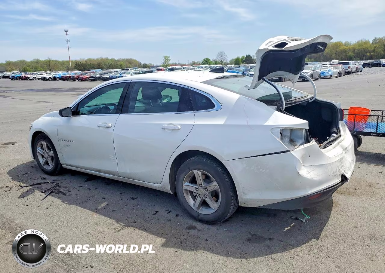 2024 Chevrolet Malibu VIN:1G1ZC5ST1RF241555 - 2