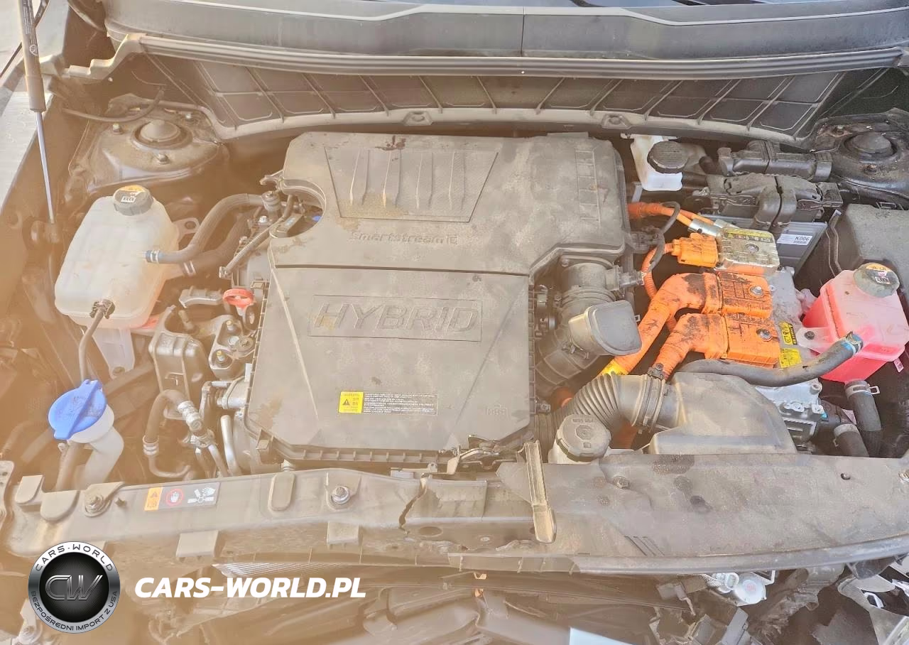 2023 Kia Niro Ex VIN:KNDCR3LE8P5054445 - 12