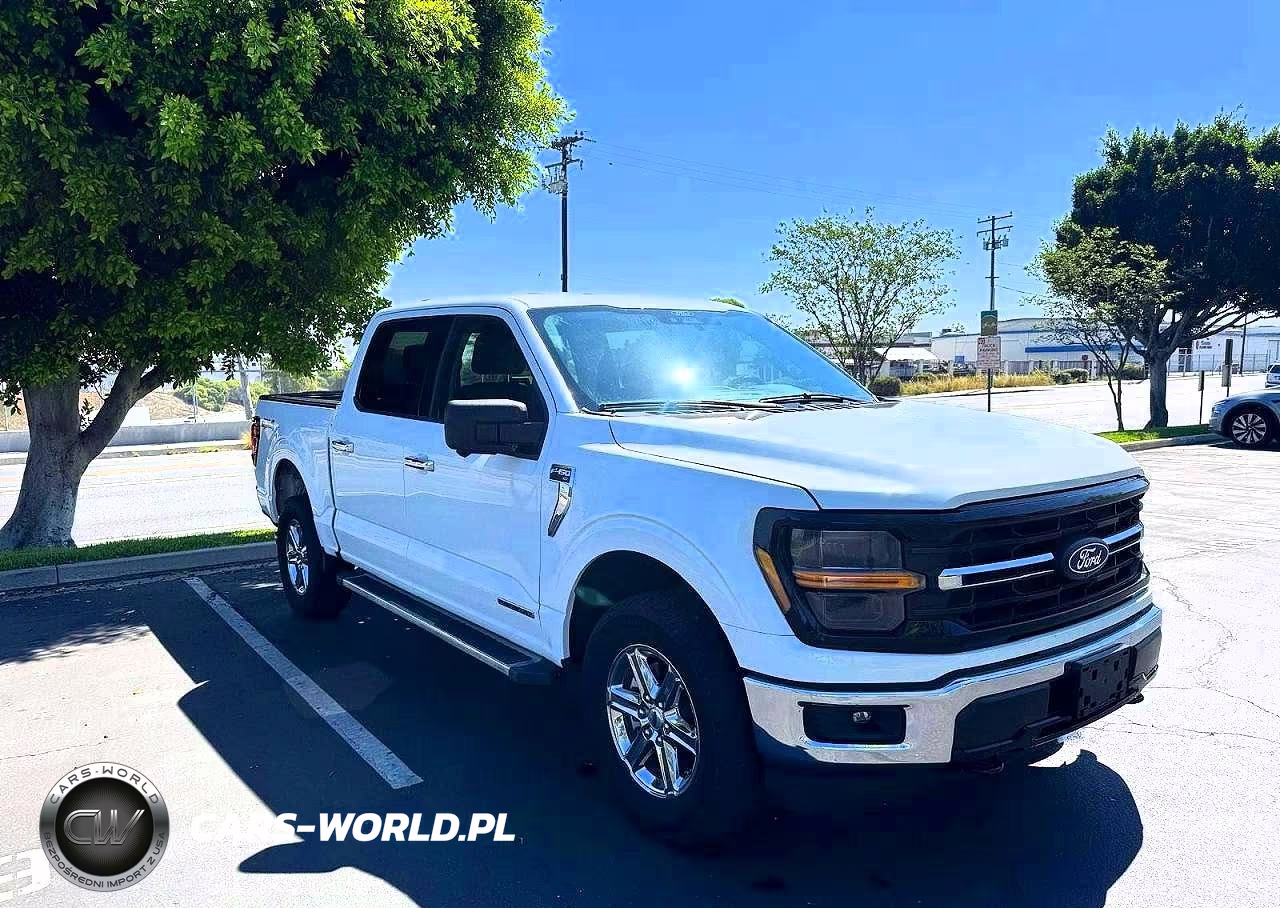 2024 Ford F150 Xlt