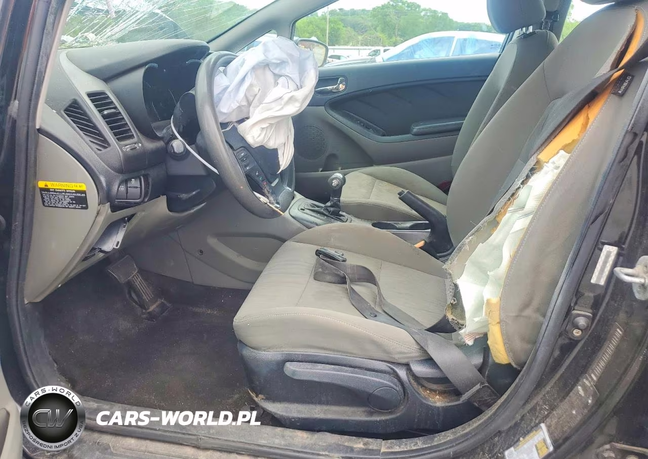 2015 Kia Forte Lx VIN:KNAFK4A65F5303153 - 7