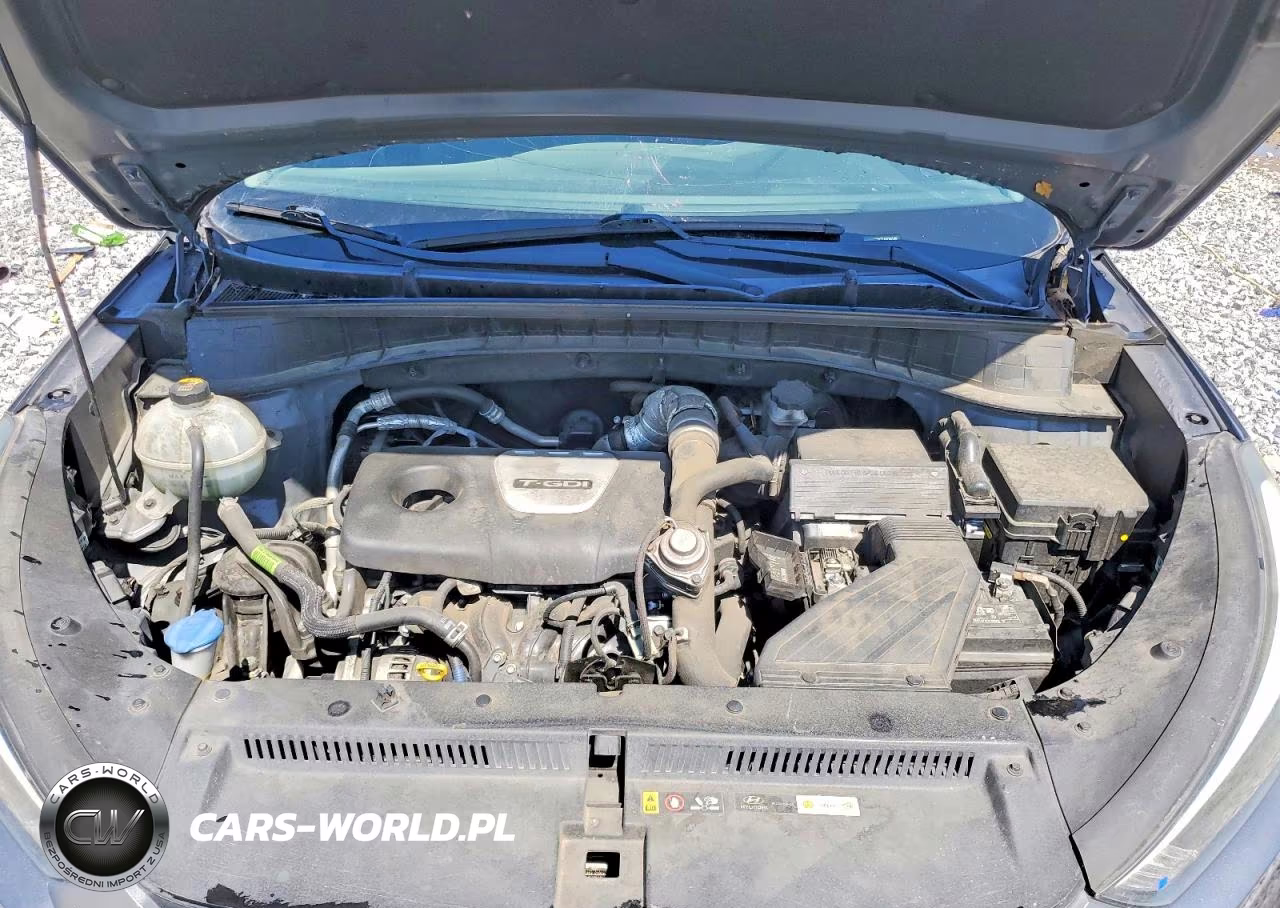 2018 Hyundai Tucson Value VIN:KM8J33A27JU783188 - 12